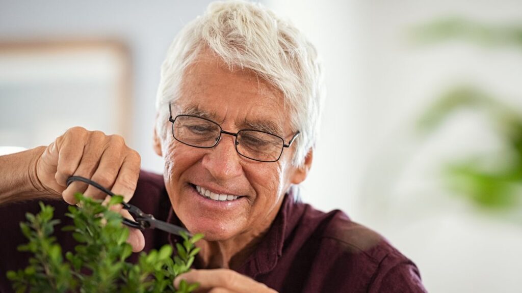 Kinh doanh cây cảnh của là công việc được những người yêu thích thiên nhiên lựa chọn